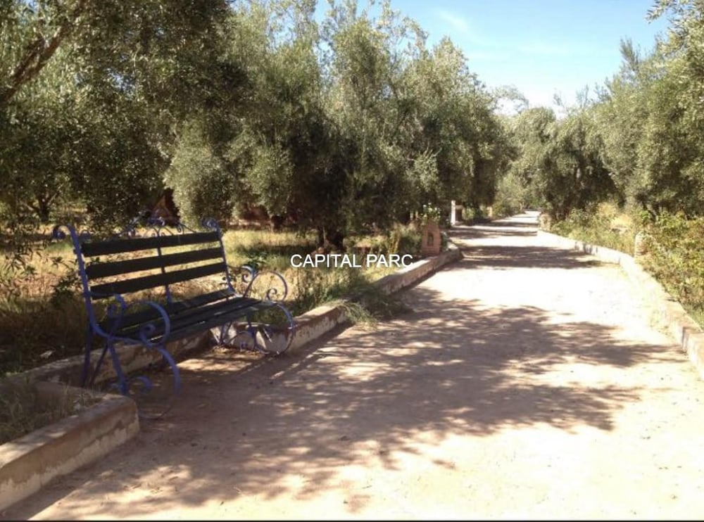Ferme agricole 3,6 ha à vendre Route de Fès, Marrakech — photo 4