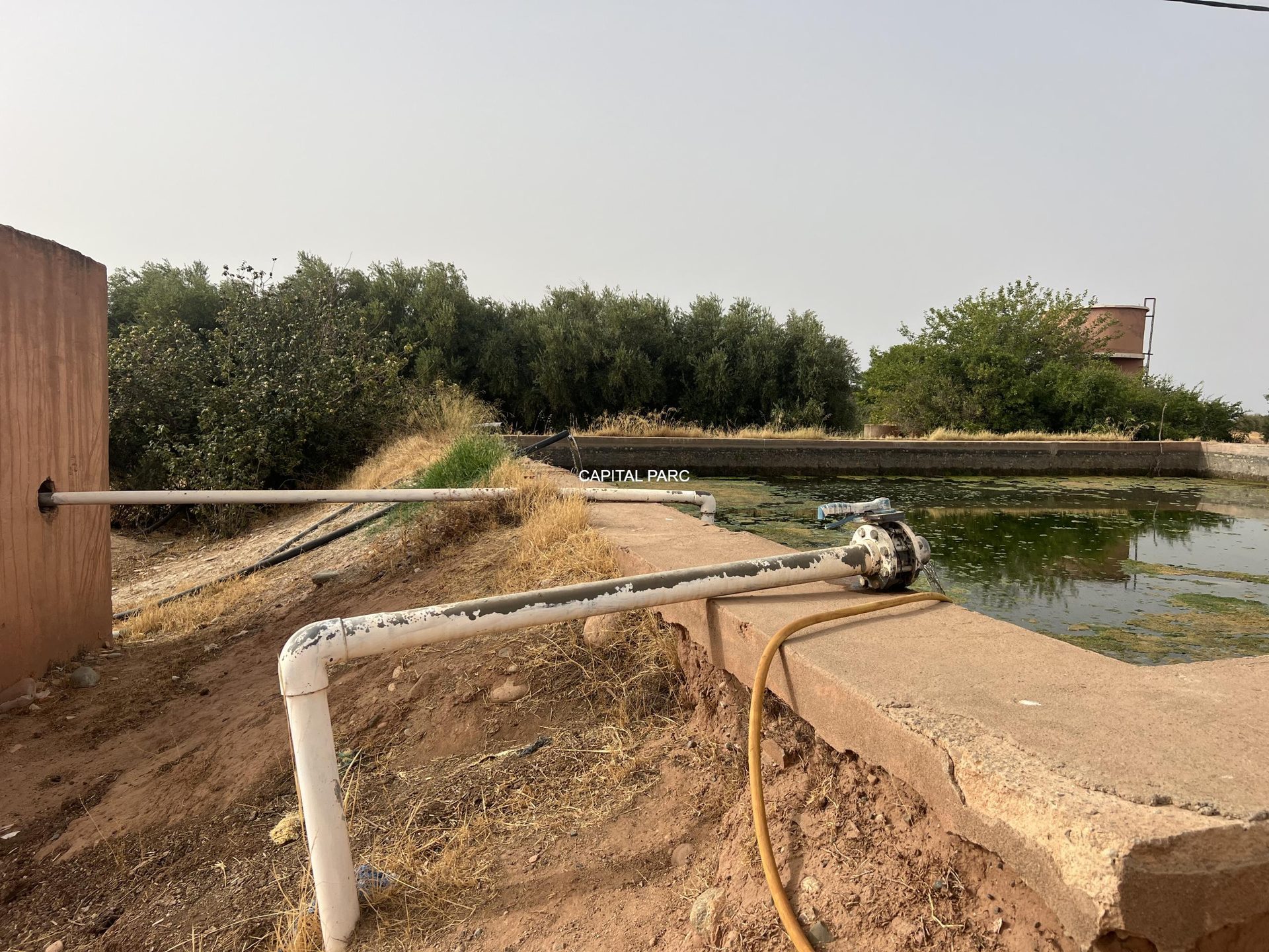 Ferme agricole 5,8 ha à vendre Sidi Abdellah Ghiat, Marrakech — miniature 15