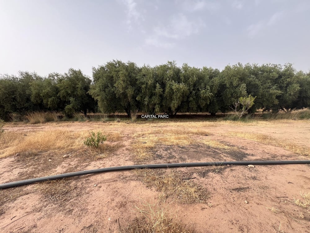 Ferme agricole 5,8 ha à vendre Sidi Abdellah Ghiat, Marrakech — photo 16