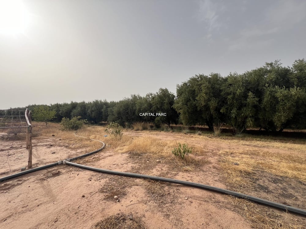 Ferme agricole 5,8 ha à vendre Sidi Abdellah Ghiat, Marrakech — photo 18