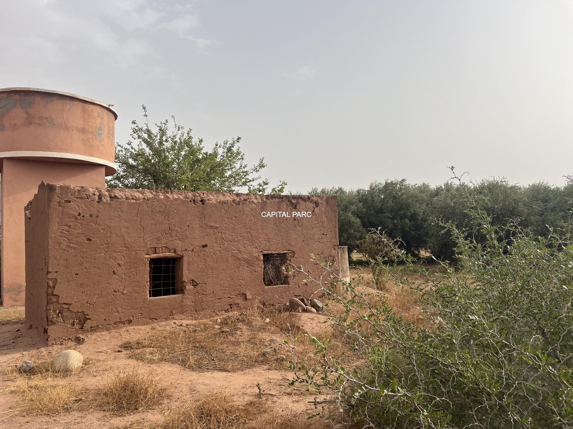 Ferme agricole 5,8 ha à vendre Sidi Abdellah Ghiat, Marrakech — miniature 21