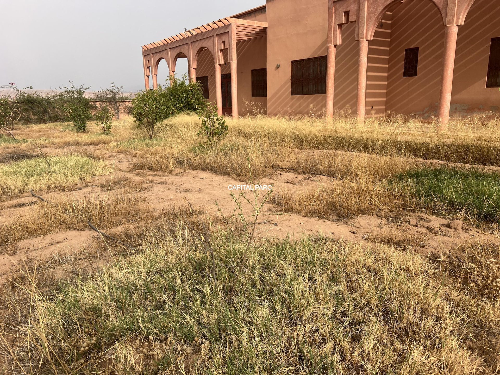 Ferme agricole 5,8 ha à vendre Sidi Abdellah Ghiat, Marrakech — miniature 6