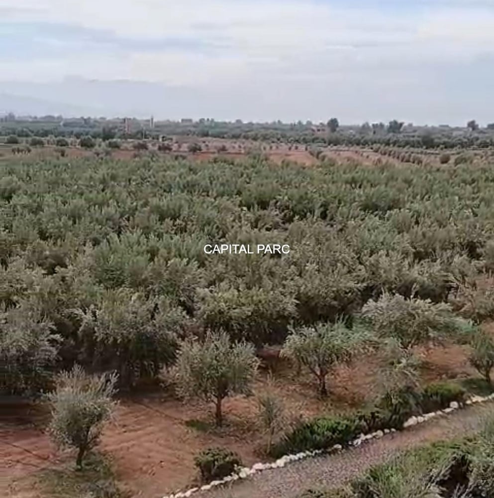 Ferme 400 m² 5 ch. à vendre à Ait Ourir, Marrakech — photo 3