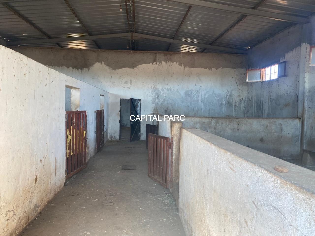 Ferme 400 m² 5 ch. à vendre à Ait Ourir, Marrakech — miniature 8