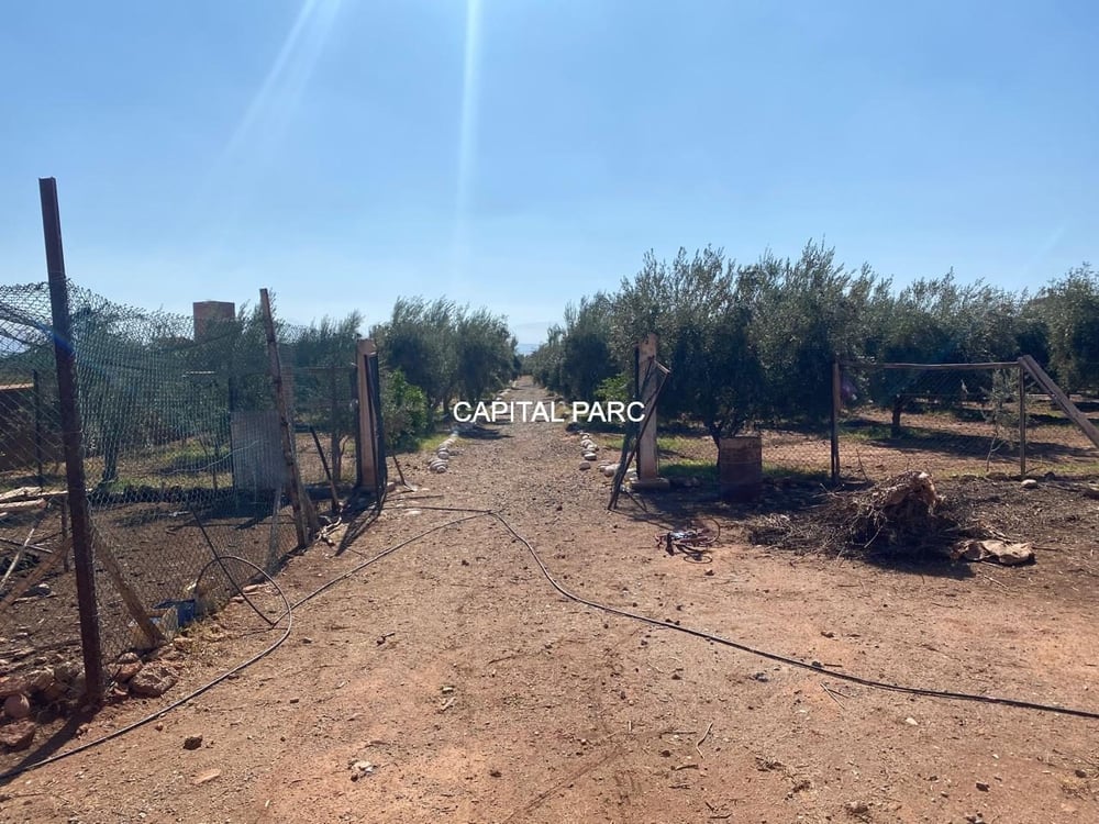 Ferme 400 m² 5 ch. à vendre à Ait Ourir, Marrakech — photo 9
