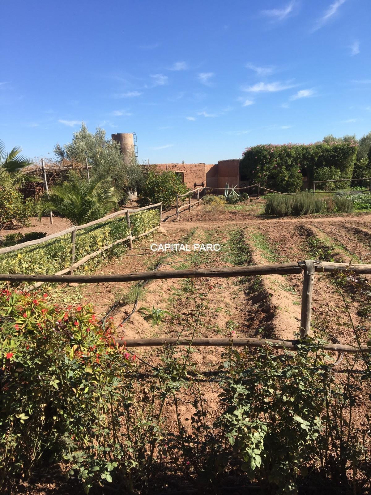 Ferme 5 ch. à vendre, 5083 m², Route de Fès, Marrakech — miniature 2
