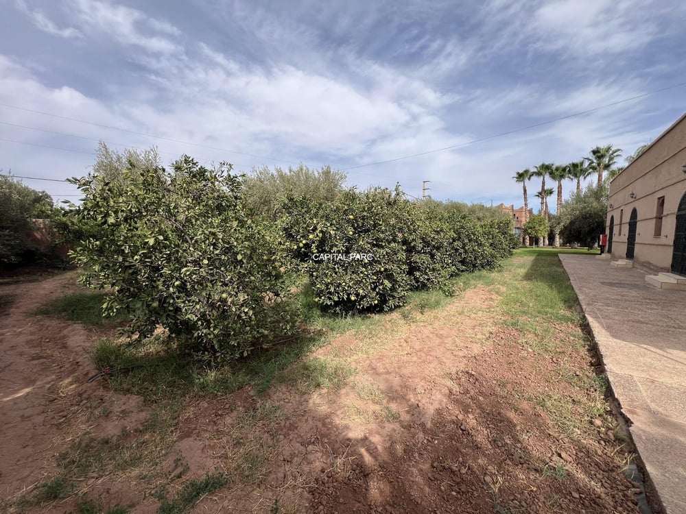 Ferme 5 ch. à vendre, 5083 m², Route de Fès, Marrakech — photo 11