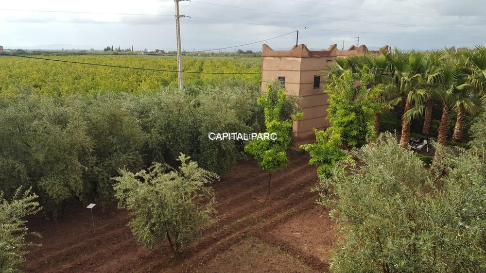 Ferme 5 ch. à vendre, 5083 m², Route de Fès, Marrakech — photo 6