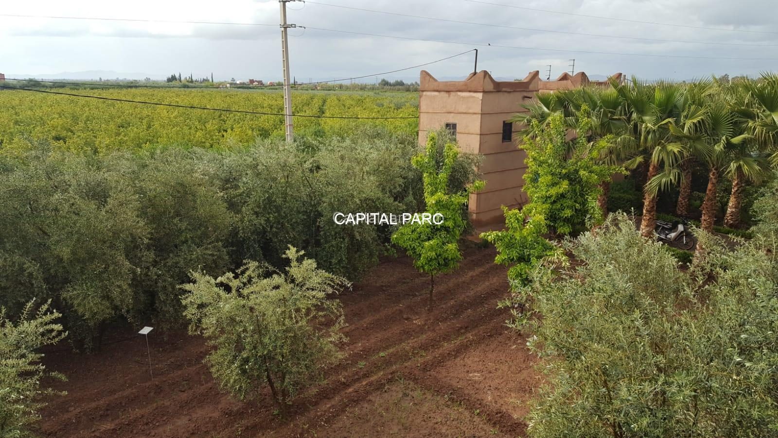 Ferme 5 ch. à vendre, 5083 m², Route de Fès, Marrakech — miniature 6