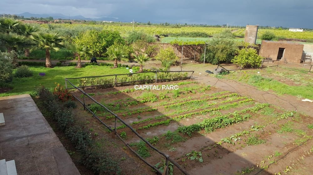 Ferme 5 ch. à vendre, 5083 m², Route de Fès, Marrakech — photo 8