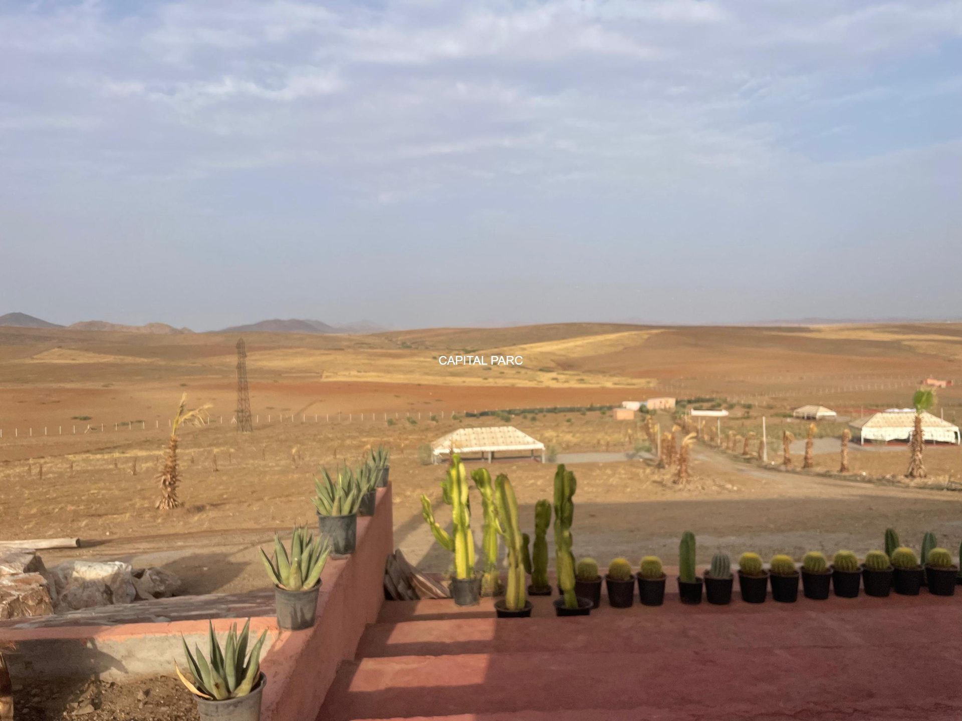 Ferme écologique 1,2 ha à vendre – Route de Casablanca, Marrakech — miniature 3
