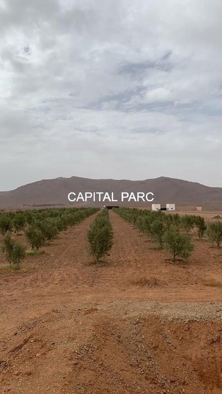 Ferme titrée 5, 8 ha à vendre, Ouahat Sidi Brahim, Marrakech — Ferme, Marrakech