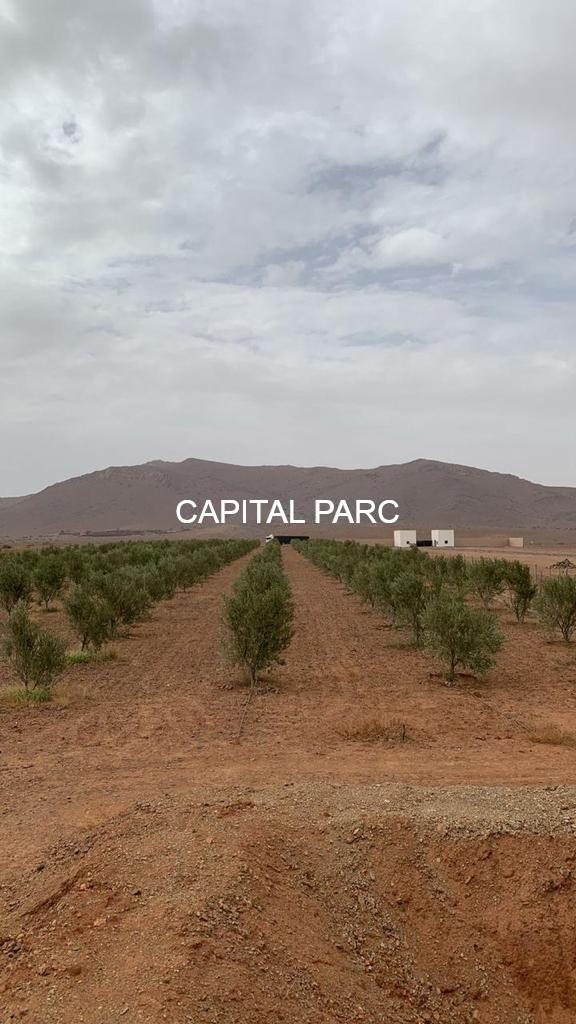 Ferme titrée 5, 8 ha à vendre, Ouahat Sidi Brahim, Marrakech — Ferme, Marrakech