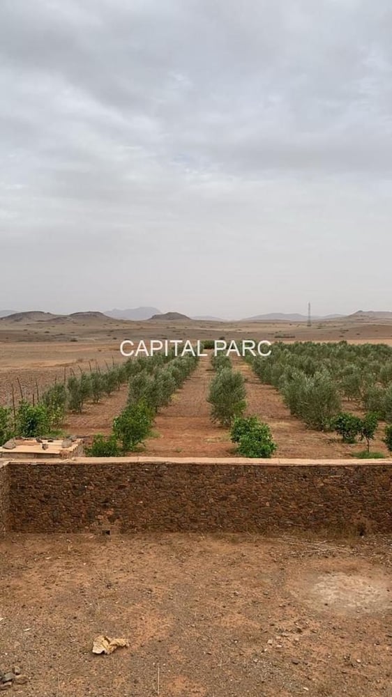 Ferme titrée 5,8 ha à vendre, Ouahat Sidi Brahim, Marrakech — photo 4
