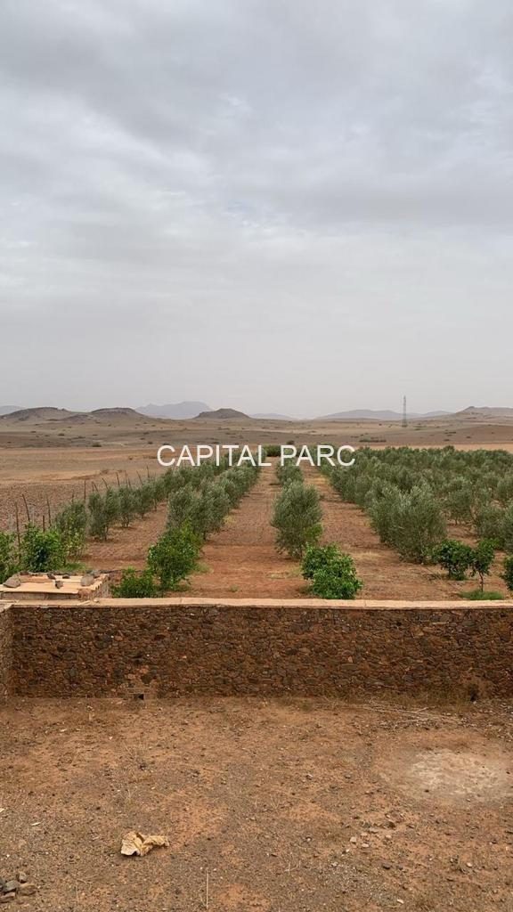Ferme titrée 5,8 ha à vendre, Ouahat Sidi Brahim, Marrakech — miniature 4