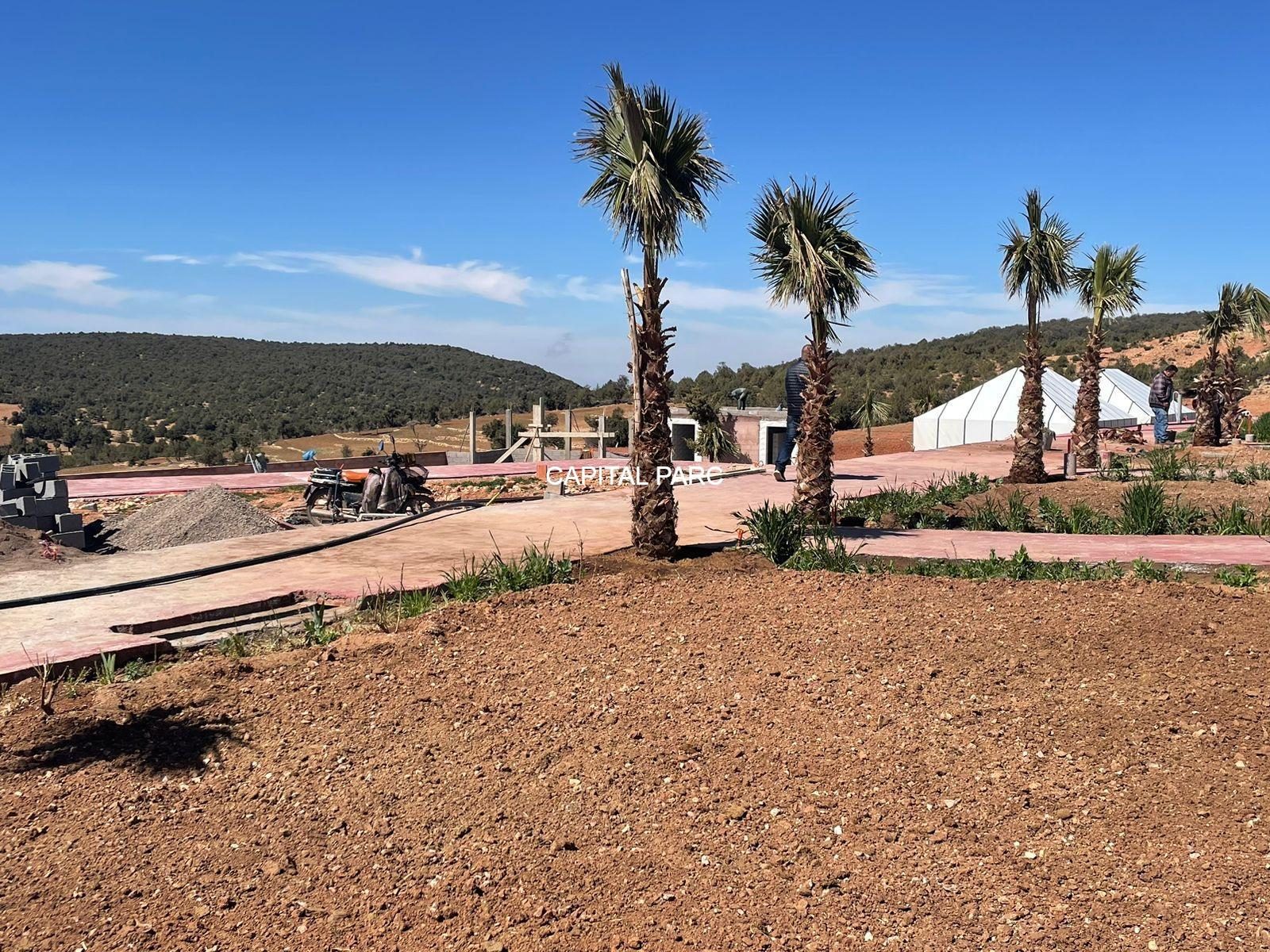 Terrain 3500 m² à vendre Asni, Marrakech – Gîte touristique — miniature 9