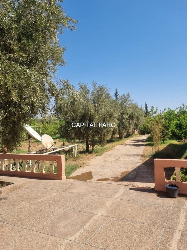 Ferme 150 m² à vendre, 1, 3 ha, Route de Fès, Marrakech — Ferme, Marrakech