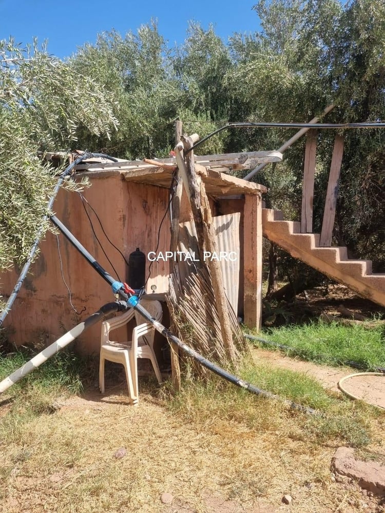 Ferme 150 m² à vendre, 1,3 ha, Route de Fès, Marrakech — photo 7