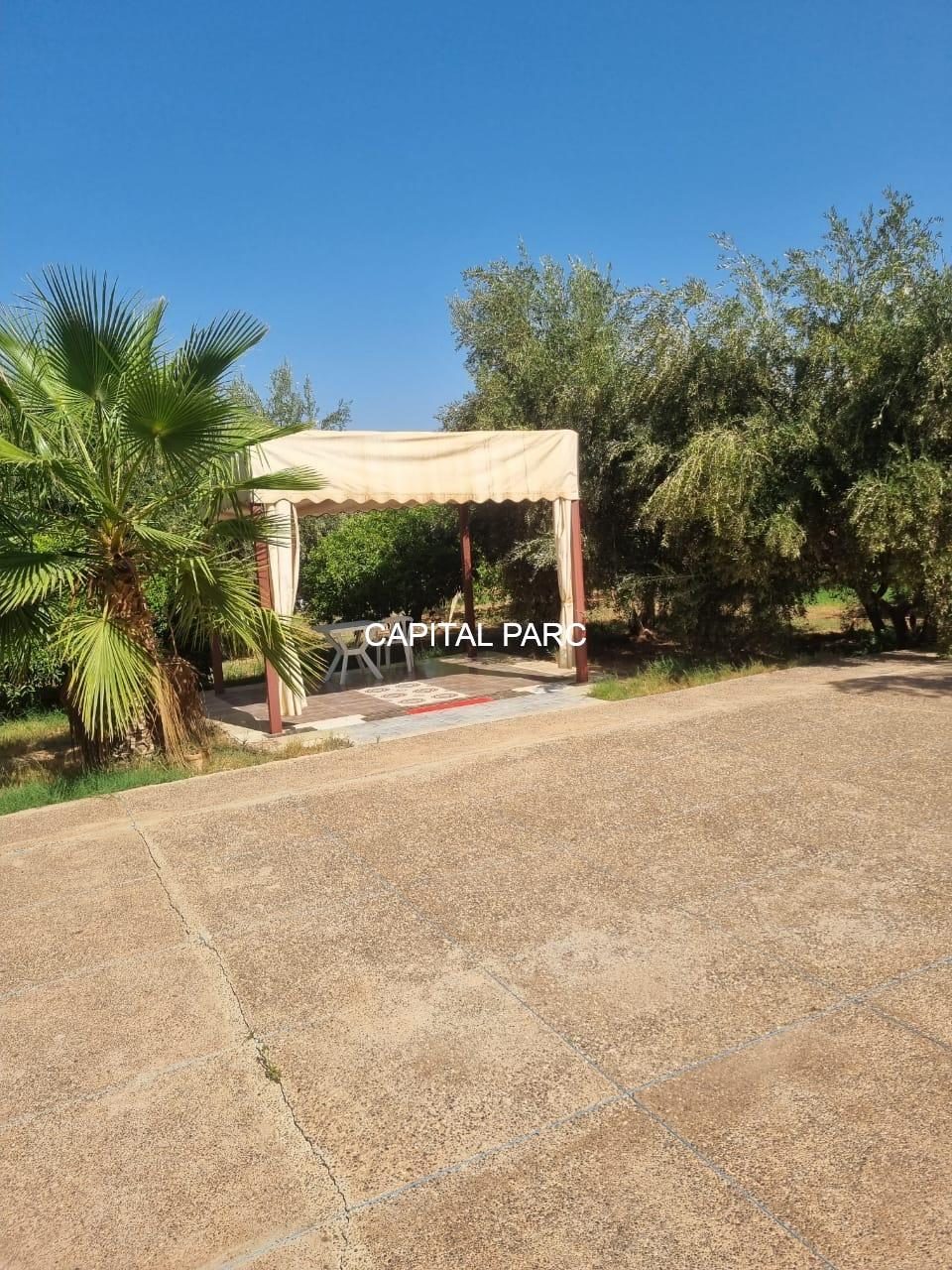 Ferme 150 m² à vendre, 1,3 ha, Route de Fès, Marrakech — miniature 8