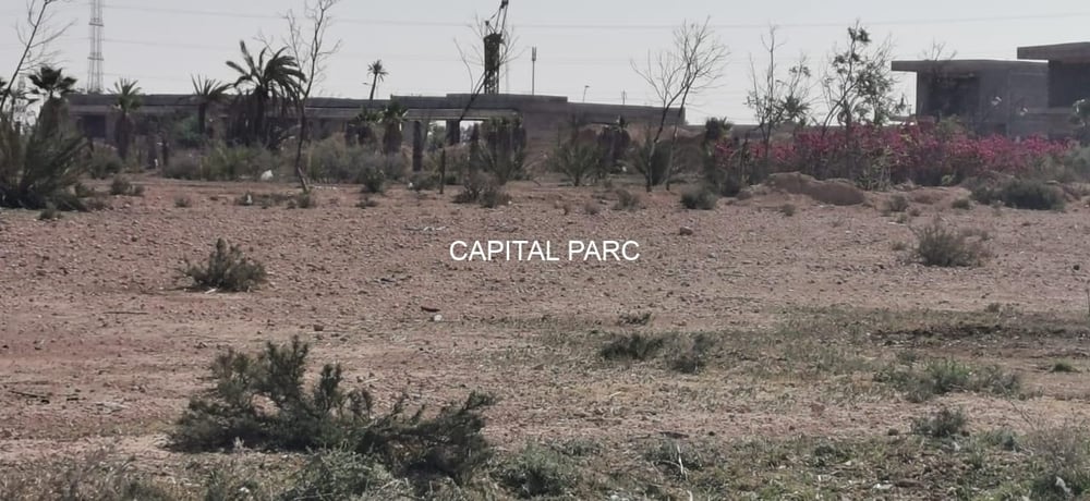 Terrain 1 ha à vendre Bab Atlas, Palmeraie Marrakech — photo 4