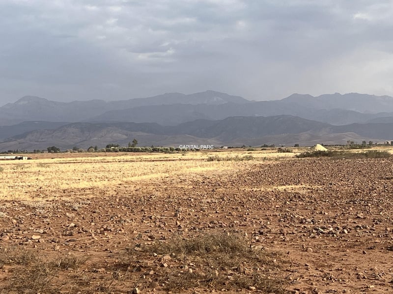 Terrain agricole 11, 9 ha à vendre, route de Tahanaoute, Marrakech — Terrain, Tahanaoute