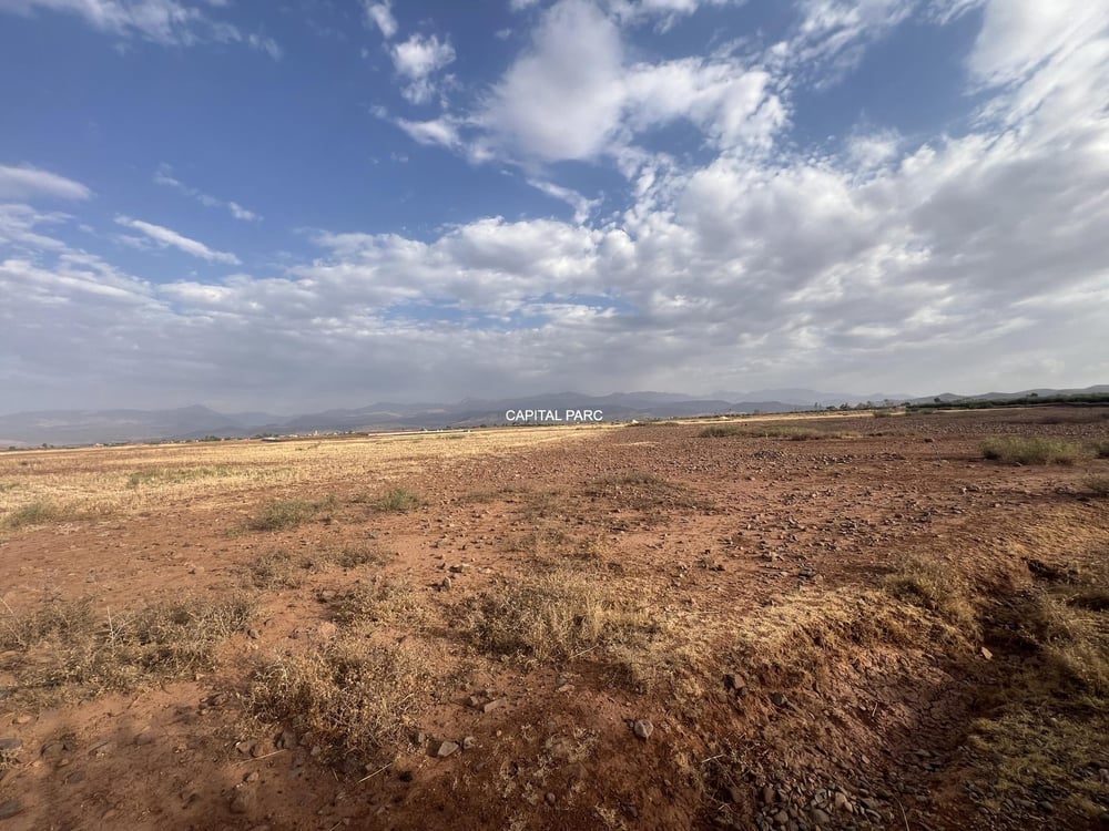 Terrain agricole 11,9 ha à vendre, route de Tahanaoute, Marrakech — photo 4