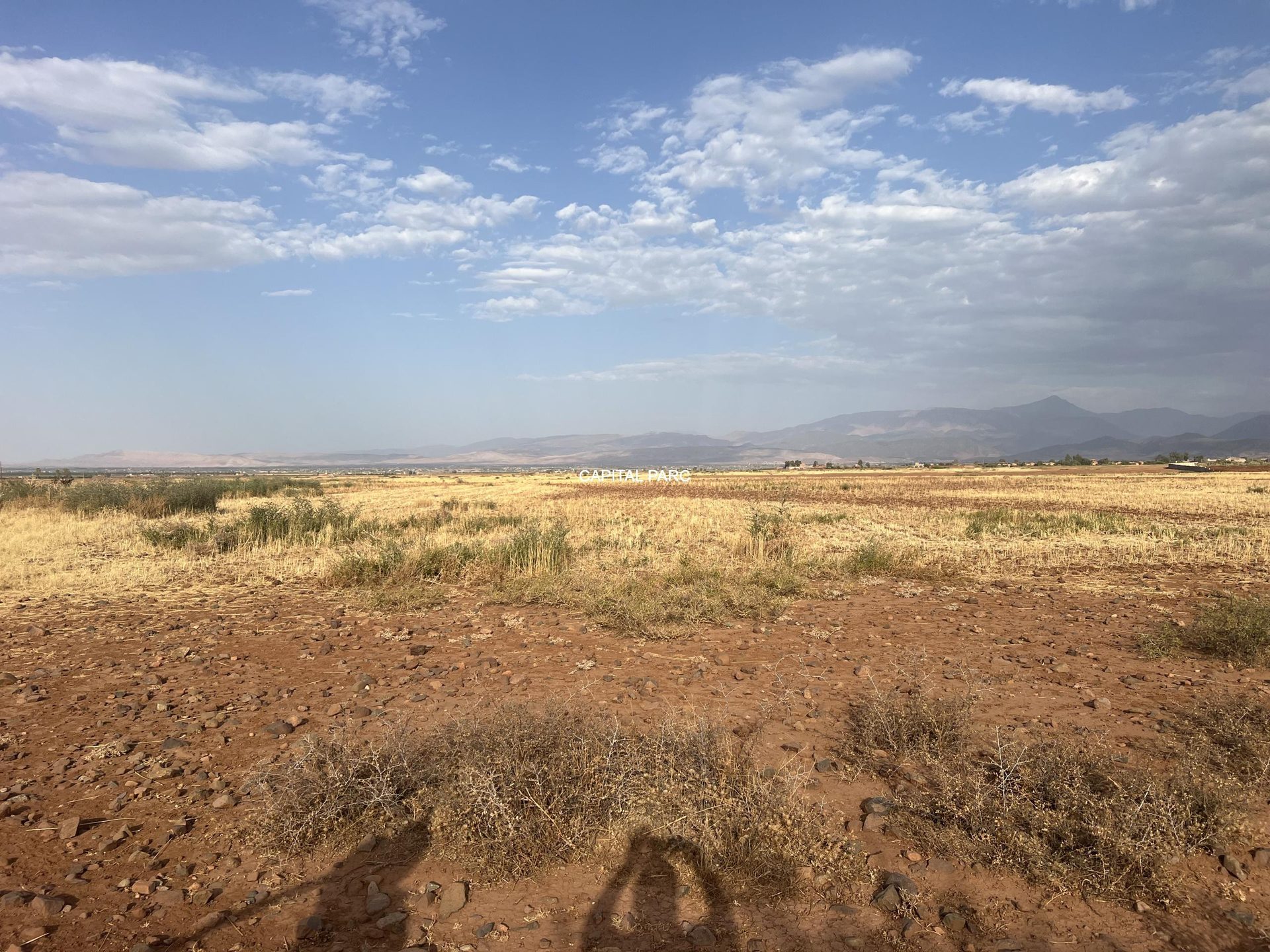 Terrain agricole 11,9 ha à vendre, route de Tahanaoute, Marrakech — miniature 5