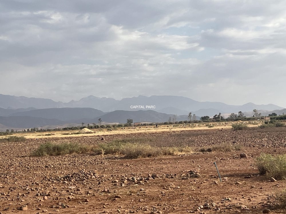 Terrain agricole 11,9 ha à vendre, route de Tahanaoute, Marrakech — photo 8