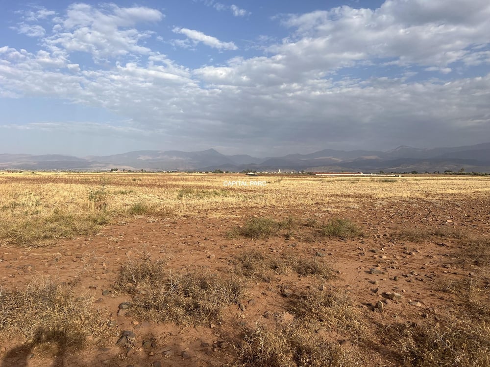 Terrain agricole 11,9 ha à vendre, route de Tahanaoute, Marrakech — photo 9