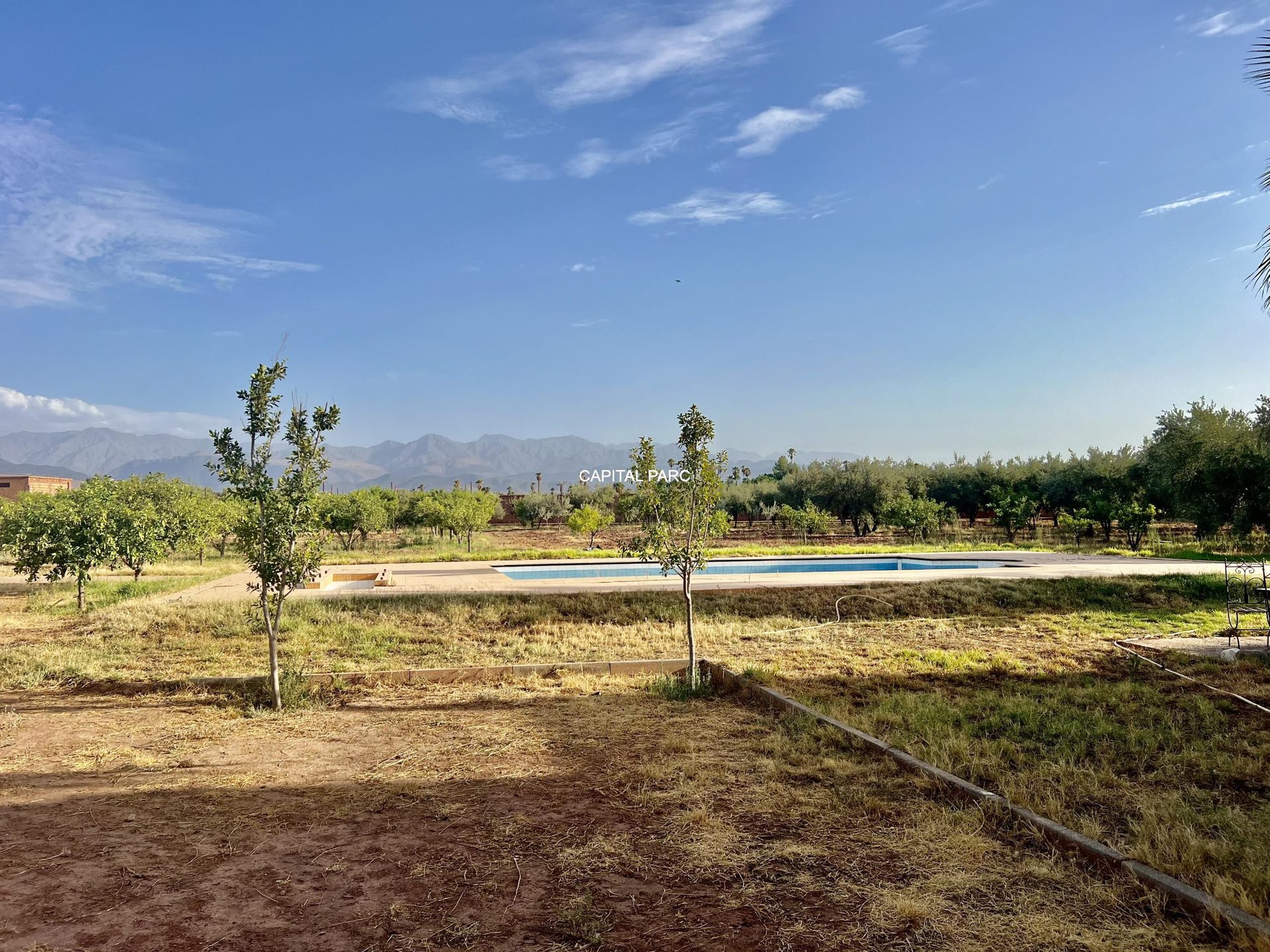 Maison 230 m² à vendre, 1 ha de parc, Marrakech — miniature 15