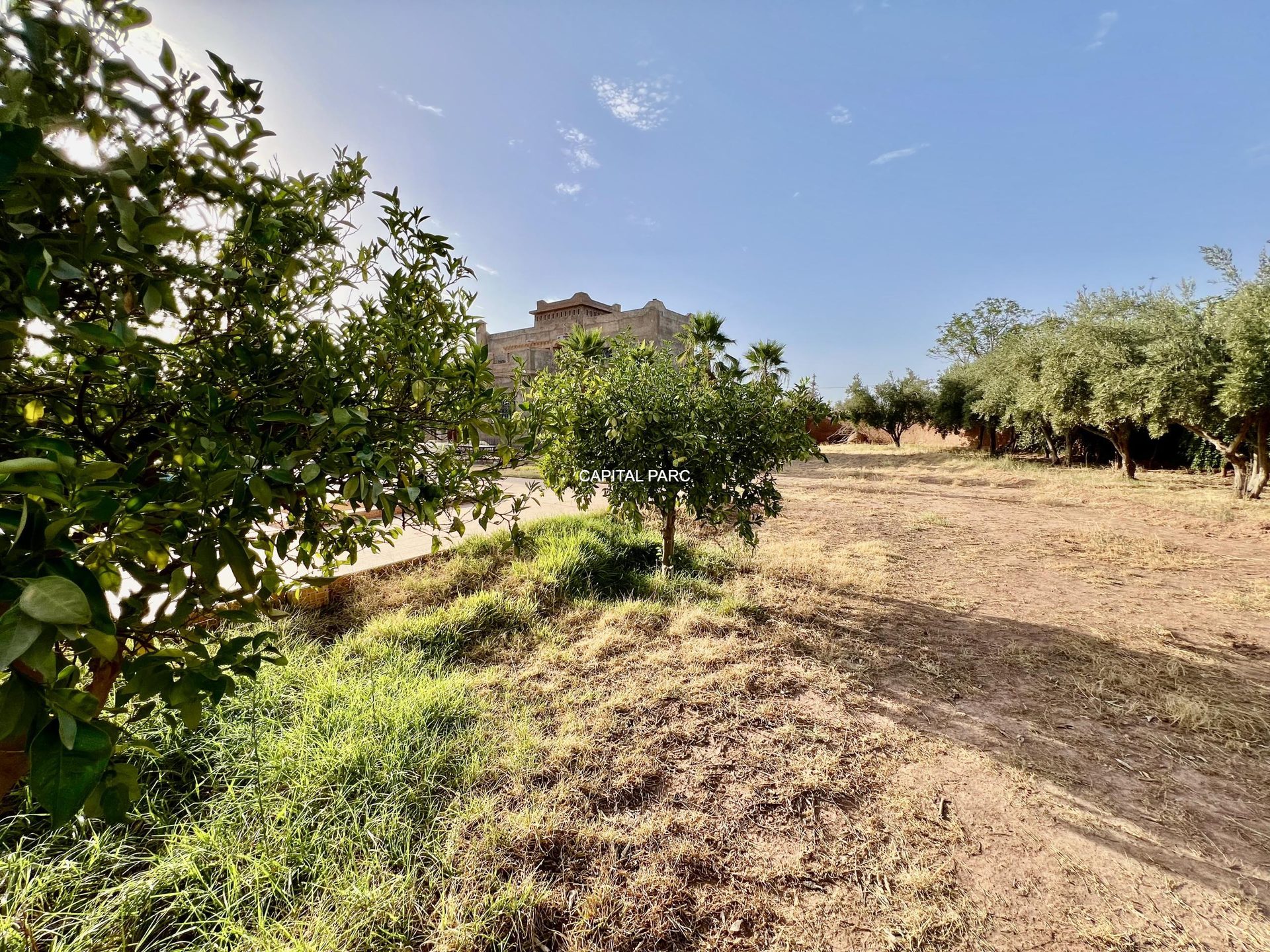 Maison 230 m² à vendre, 1 ha de parc, Marrakech — miniature 17