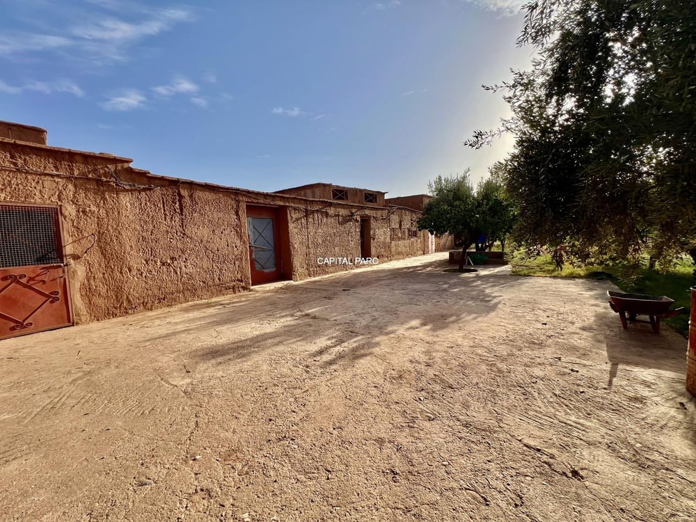 Maison 230 m² à vendre, 1 ha de parc, Marrakech — photo 19
