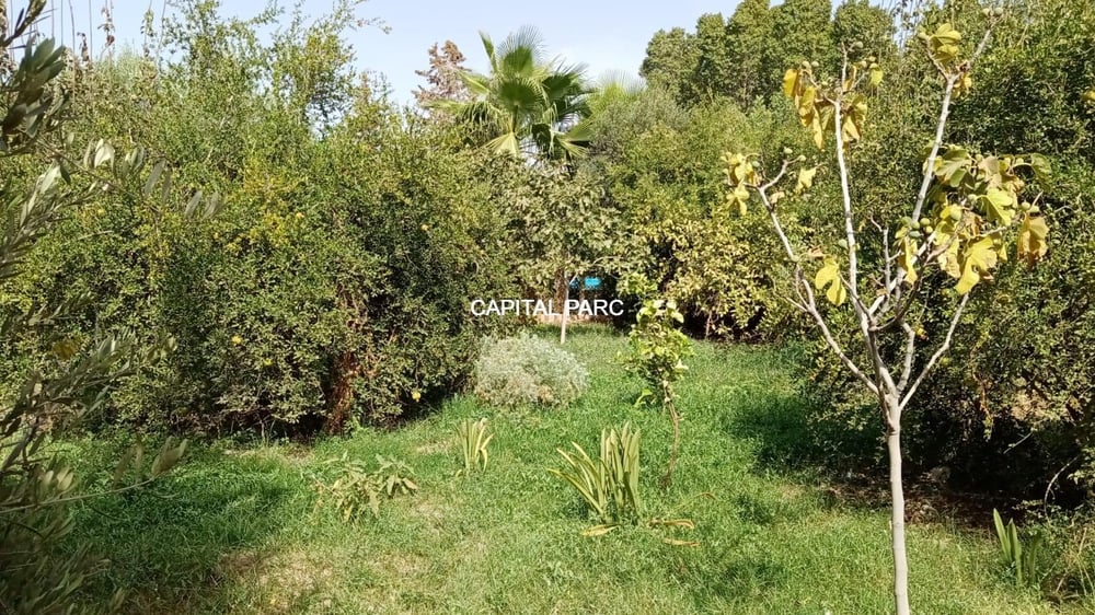 Maison titrée 2533 m² à vendre, Marrakech — photo 11
