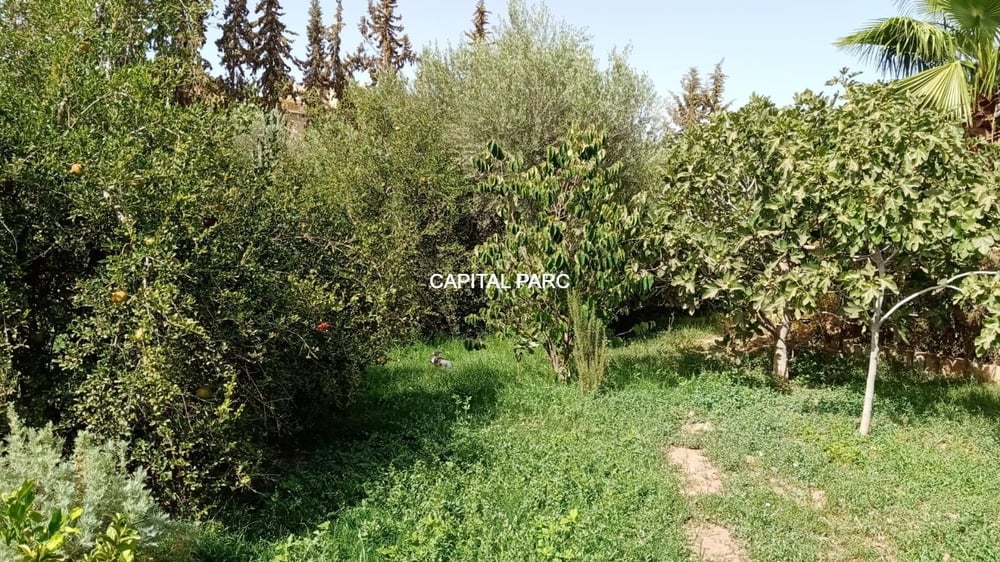 Maison titrée 2533 m² à vendre, Marrakech — photo 10