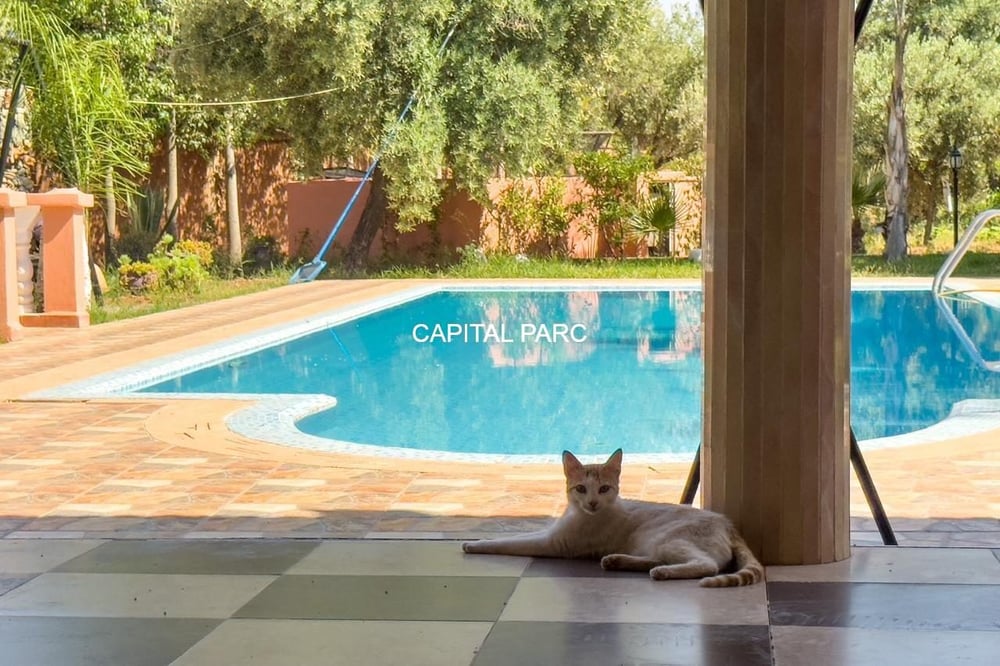 Maison 5 ch. à vendre 4619 m² avec piscine, Sidi Abdallah Ghiat — photo 15