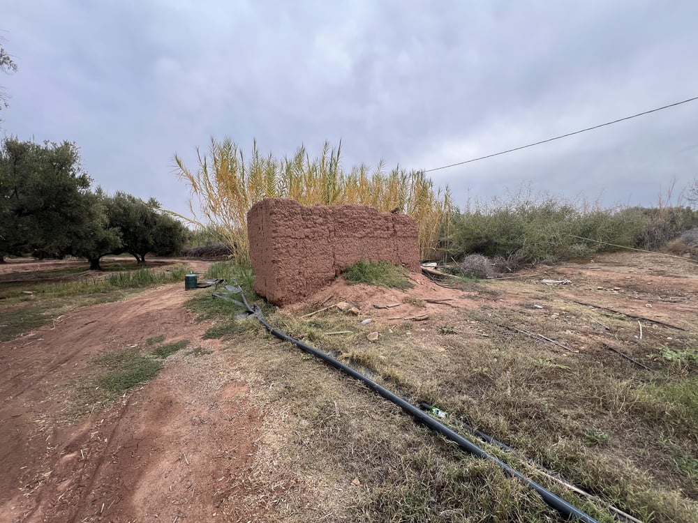 Ferme melkia 1,5 ha à vendre, Oulad Hassoun, Marrakech — photo 6