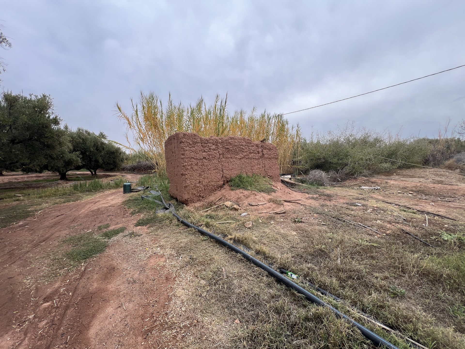 Ferme melkia 1,5 ha à vendre, Oulad Hassoun, Marrakech — miniature 6
