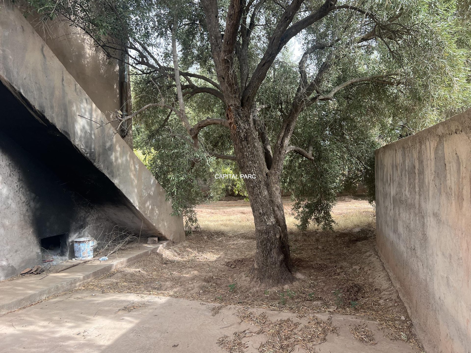 Maison de campagne 100 m² à vendre, Sidi Abdellah Ghiat — miniature 4