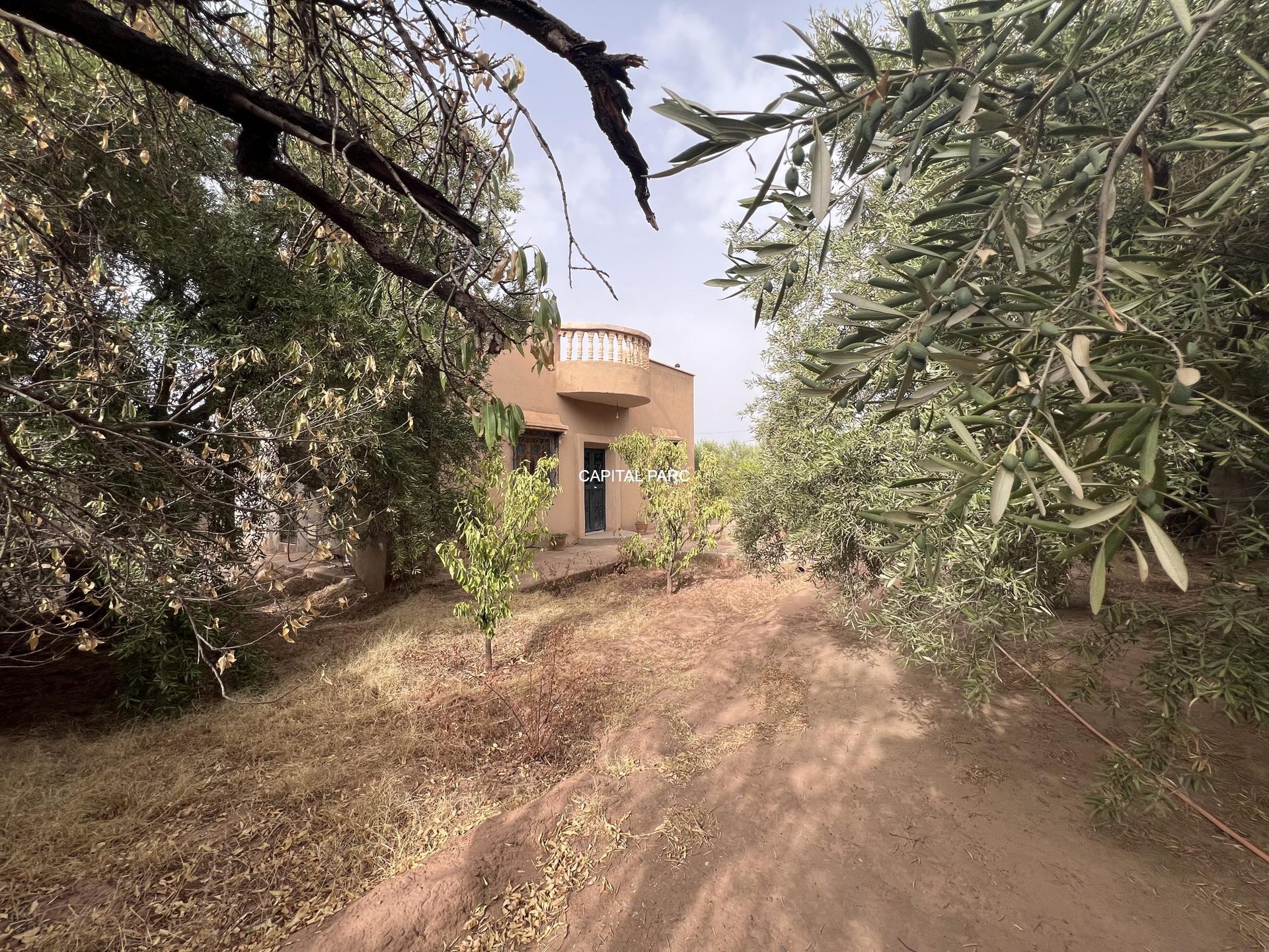 Maison de campagne 100 m² à vendre, Sidi Abdellah Ghiat — miniature 5