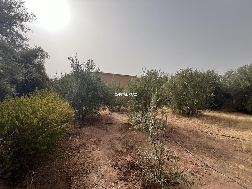 Maison de campagne 100 m² à vendre, Sidi Abdellah Ghiat — photo 8