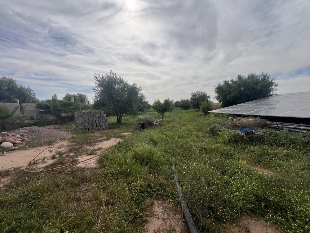 Terrain 1,4 ha titré à vendre, Chwiter, Marrakech — photo 3
