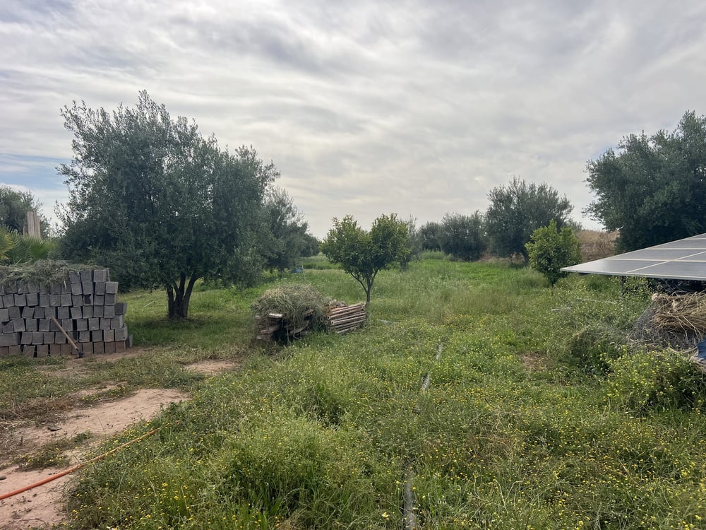 Terrain 1,4 ha titré à vendre, Chwiter, Marrakech — photo 4