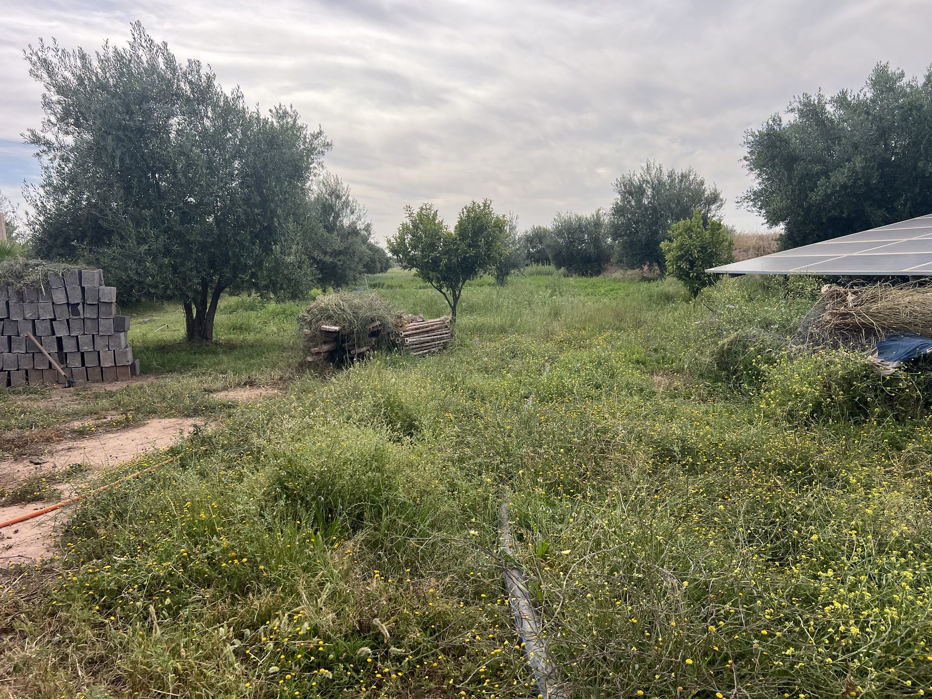 Terrain 1,4 ha titré à vendre, Chwiter, Marrakech — miniature 5