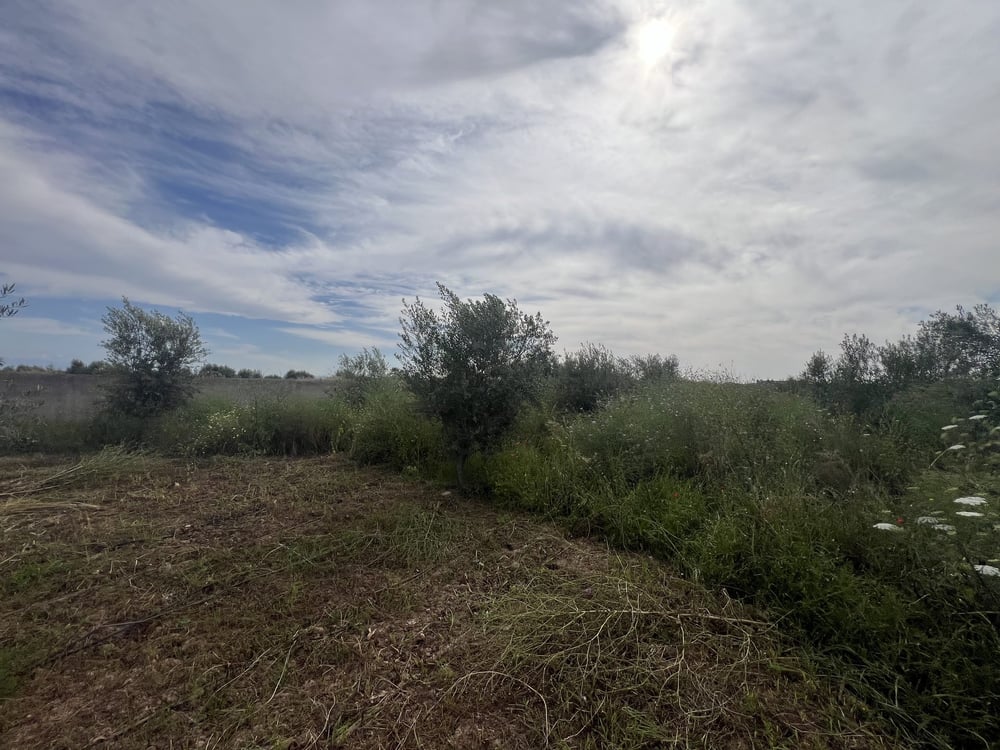 Terrain 1,4 ha titré à vendre, Chwiter, Marrakech — photo 6