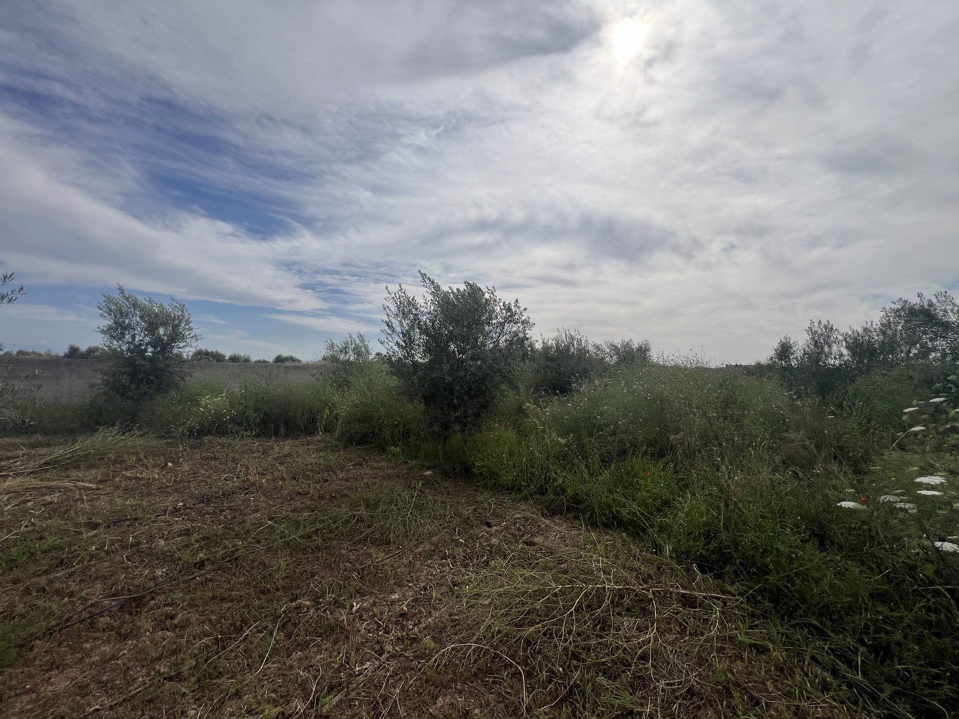 Terrain 1,4 ha titré à vendre, Chwiter, Marrakech — miniature 6