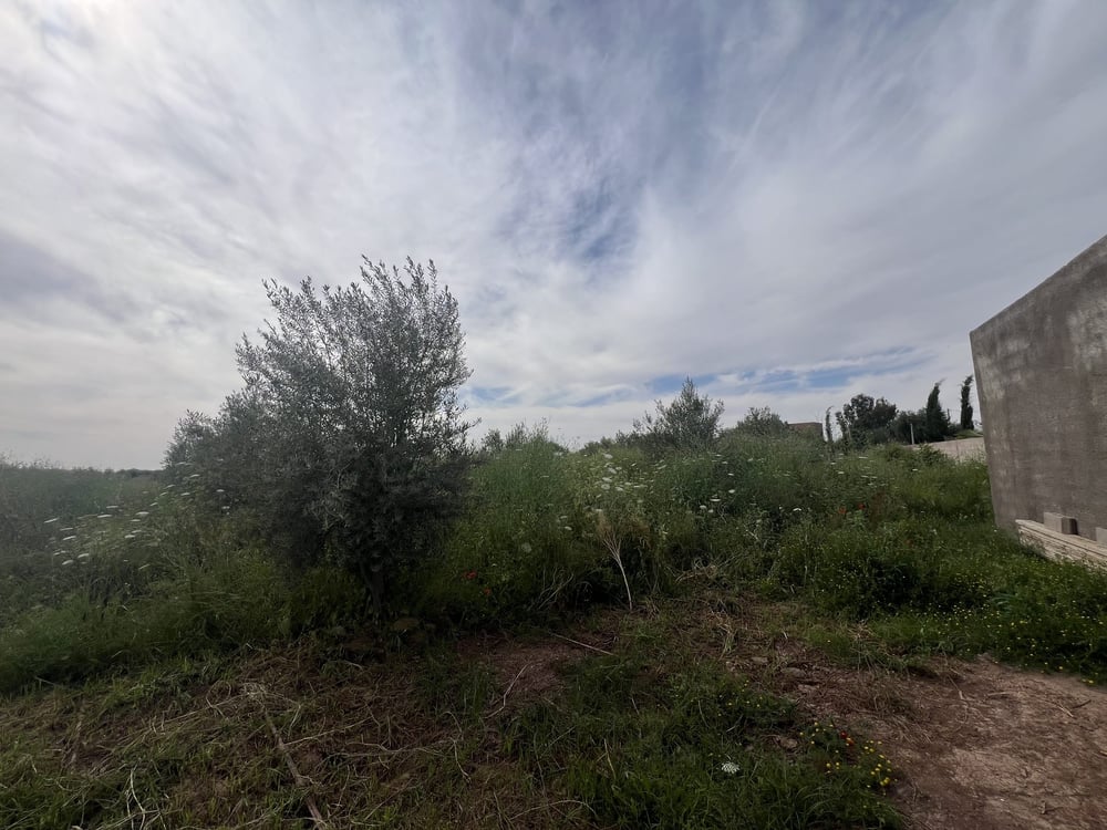 Terrain 1,4 ha titré à vendre, Chwiter, Marrakech — photo 8