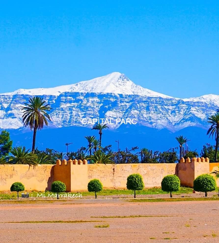 Terrain 1 ha à vendre Bab Atlas, Marrakech — Terrain, Marrakech