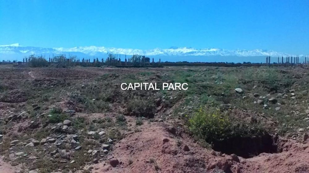 Terrain 26 ha avec projet villas autorisé à vendre Marrakech — photo 4