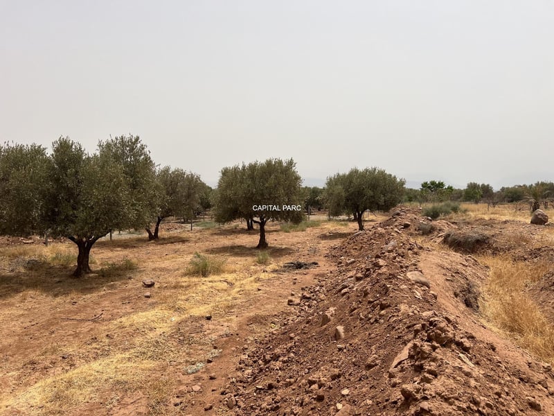 Terrain constructible 1, 3 ha à vendre, Route Ourika, Marrakech — Terrain, Ourika