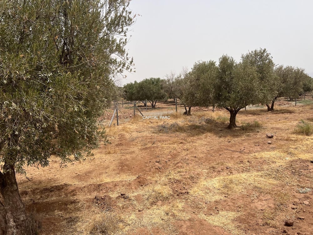 Terrain constructible 1,3 ha à vendre, Route Ourika, Marrakech — photo 2